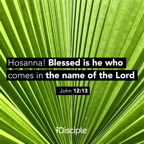 december 13|hosanna blessed is he who comes kjv.